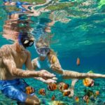 An Exhilarating Snorkeling Honeymoon Package in Australia: Dive into Adventure