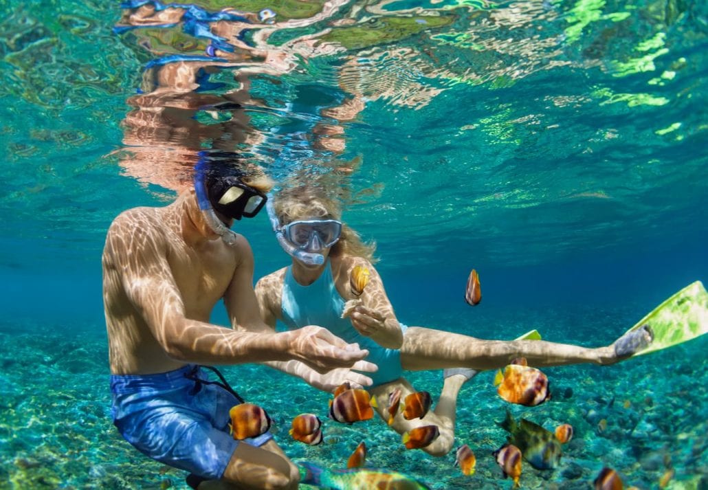 An Exhilarating Snorkeling Honeymoon Package in Australia: Dive into Adventure